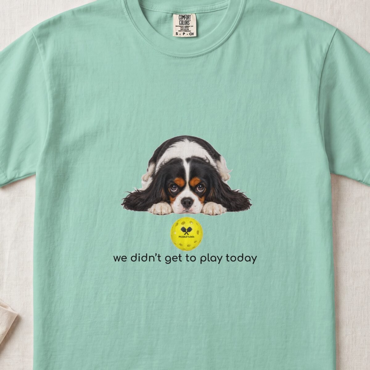 Cavalier King Charles Spaniel Sad — Funny Dog Pickleball Shirt on Comfort Colors 1717