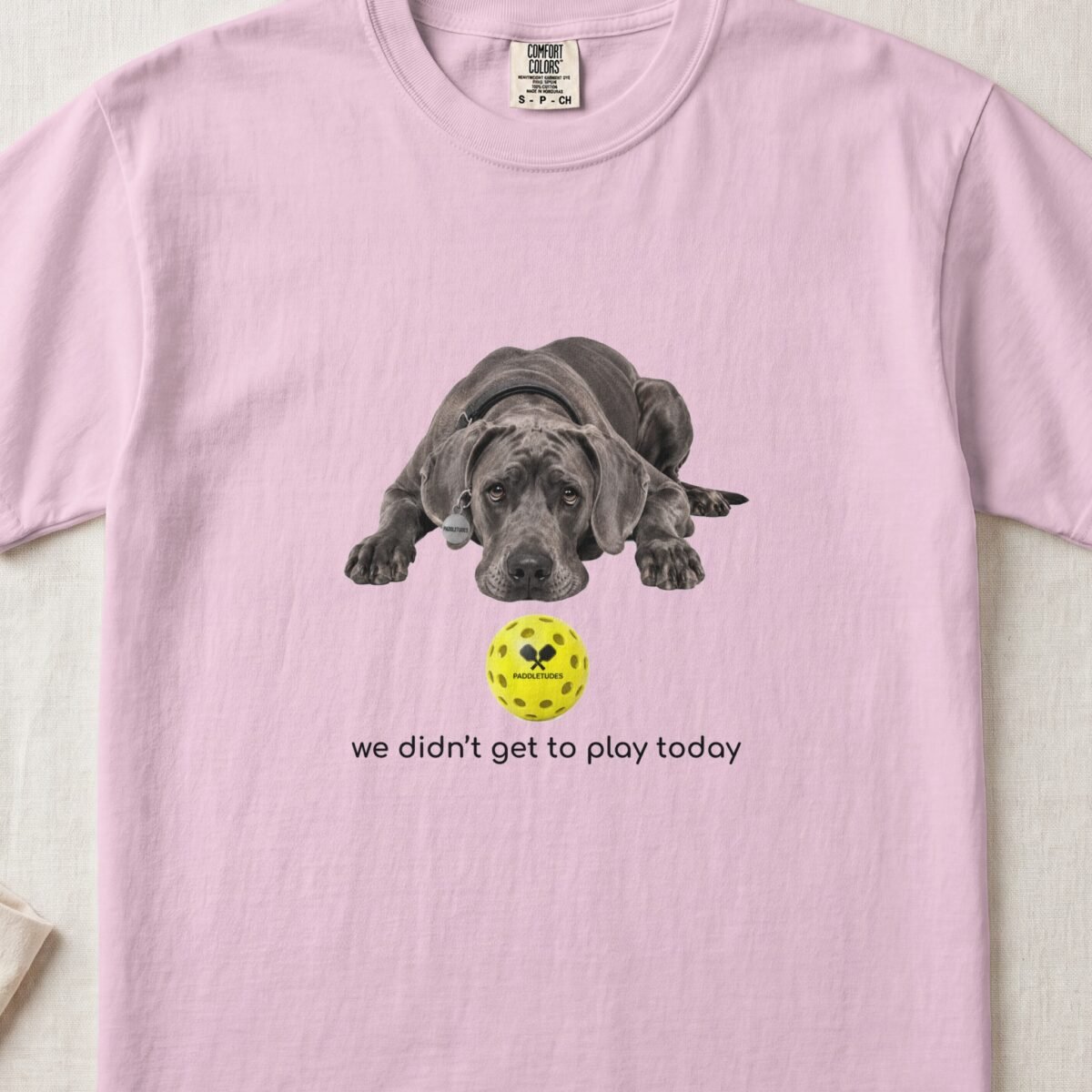 Great Dane Sad — Funny Dog Pickleball Shirt on Comfort Colors 1717